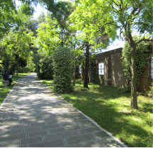 Information in English（仮）