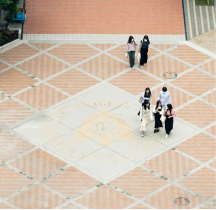 カリキュラムの特徴