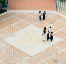 カリキュラムの特徴