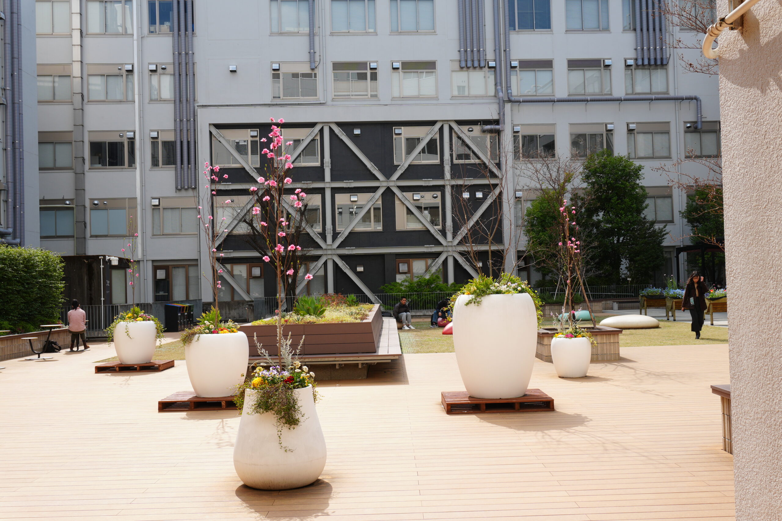 中庭の花